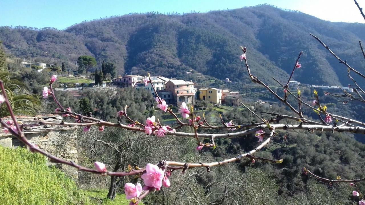 Casa Burrasca Villa Levanto Eksteriør bilde